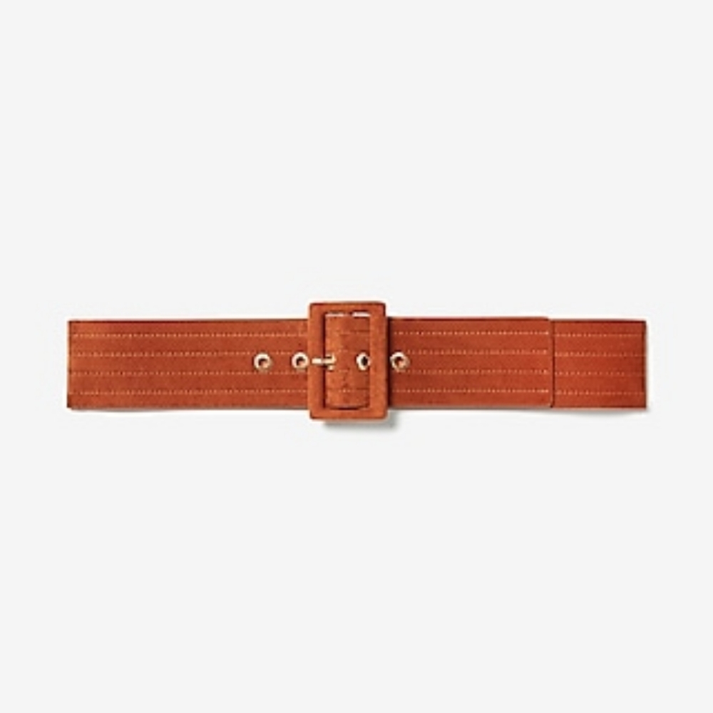 NWOT Suede belt from express
